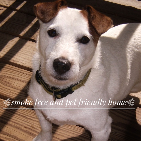 Meet your Posher, Melanie - Picture 1 of 2